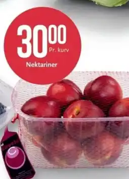 CC Mat Nektariner tilbud