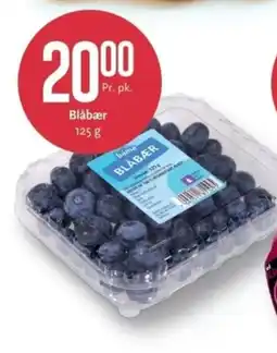 CC Mat Blåbær tilbud