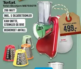 Skousen Tefal råkostjern MB755GTR tilbud