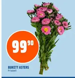Coop Obs BUKETT ASTERS, NOK 99.9 tilbud