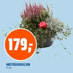 Coop Obs HØSTDEKORASJON, NOK 179 tilbud
