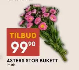 Coop Mega ASTERS STOR BUKETT, NOK 99.9 tilbud