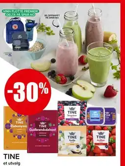 Spar TINE tilbud