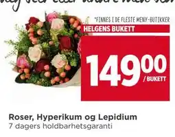 Meny Roser, Hyperikum og Lepidium, NOK 149 tilbud