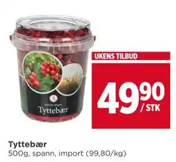 Meny Tyttebær, NOK 49.9 tilbud
