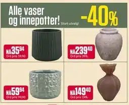 Europris Alle vaser og innepotter! tilbud