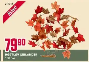 Europris HØSTLØV GIRLANDER, NOK 79.9 tilbud