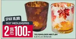 Europris TELYSHOLDER HØSTLØV, Medlemspris tilbud