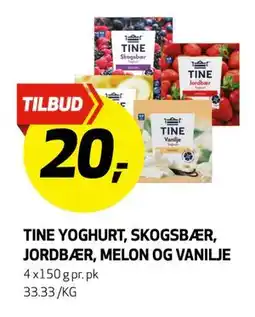 Bunnpris TINE YOGHURT, Skogsbær, jordbær, melon og vanilje, NOK 20 tilbud