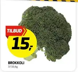 Bunnpris BROKKOLI, NOK 15 tilbud