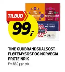 Bunnpris TINE GUDBRANDSDALSOST, FLØTEMYSOST OG NORVEGIA PROTEINRIK, NOK 99 tilbud