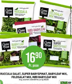 Kiwi Ruccula salat, super babyspinat, babyleaf mix, feldsalat mix, rød babyleaf mix tilbud