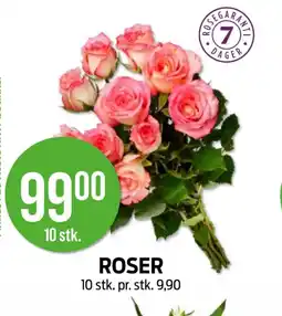 Kiwi Roser tilbud