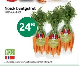 Joker Norsk buntgulrot, NOK 24.9 tilbud