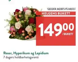 Jacobs Roser, Hyperikum og Lepidium, NOK 149 tilbud