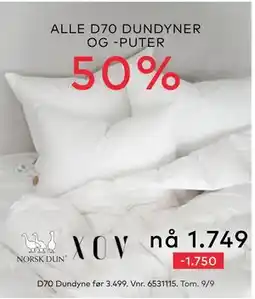 Skeidar ALLE D70 DUNDYNER OG -PUTER 50% tilbud