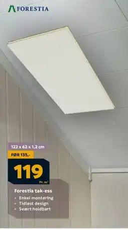 Megaflis Forestia tak-ess tilbud
