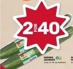 Coop Marked NORSKE AGURKER tilbud
