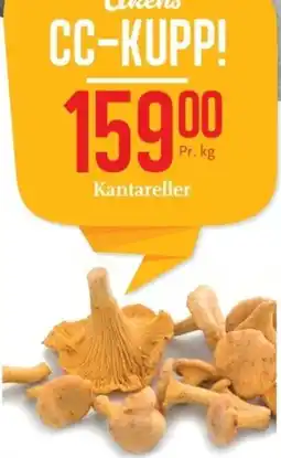 CC Mat Kantareller tilbud