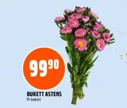 Coop Obs Bukett asters tilbud