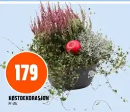 Coop Obs Høstdekorasjon tilbud