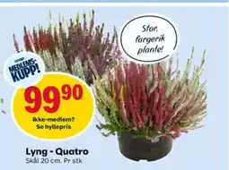 Coop Obs Lyng - Quatro tilbud