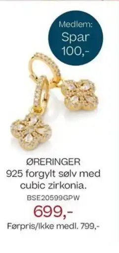 Bjørklund ØRERINGER 925 forgylt sølv med cubic zirkonia. tilbud