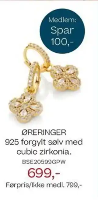Bjørklund ØRERINGER 925 forgylt sølv med cubic zirkonia. tilbud