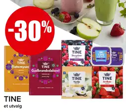 Eurospar Tine tilbud