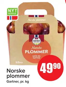 Eurospar GARTNER Norske plommer tilbud