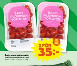 Stora Coop Babyplommontomater tilbud