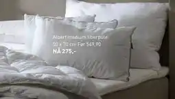 Kid Interiør Albert medium fiberpute, NOK 275 tilbud