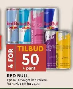 Coop Mega RED BULL, NOK 50 tilbud