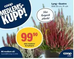 Coop Extra Lyng - Quatro, Medlemspris tilbud