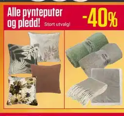 Europris Alle pynteputer og pledd! Stort utvalg! tilbud