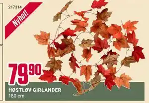 Europris HØSTLØV GIRLANDER, NOK 79.9 tilbud