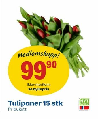 Coop Obs Tulipaner 15 stk tilbud