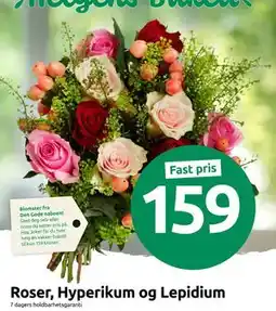 Joker Roser, Hyperikum og Lepidium., NOK 159 tilbud