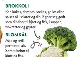 Jacobs BROKKOLI tilbud