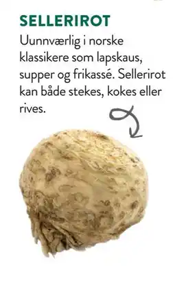 Jacobs SELLERIROT tilbud