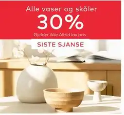 Skeidar Alle vaser og skåler tilbud