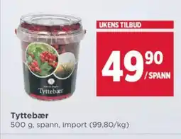 Meny Tyttebær tilbud