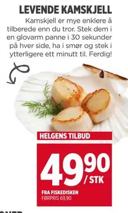 Meny LEVENDE KAMSKJELL, NOK 49.9 tilbud