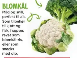 Meny blomkål tilbud