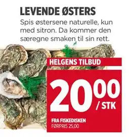 Meny LEVENDE ØSTERS, NOK 20 tilbud