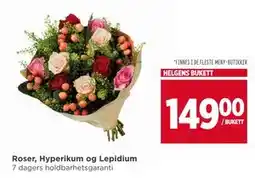 Meny Roser, Hyperikum og Lepidium, NOK 149 tilbud