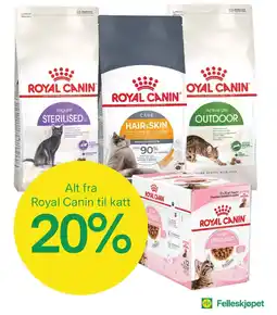 Felleskjøpet Royal Canin til katt tilbud