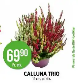 Kiwi CALLUNA TRIO, NOK 69.9 tilbud