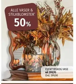 Vaser