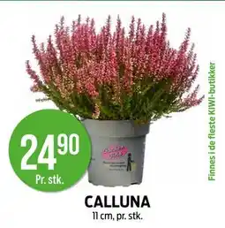 Kiwi CALLUNA, NOK 24.9 tilbud